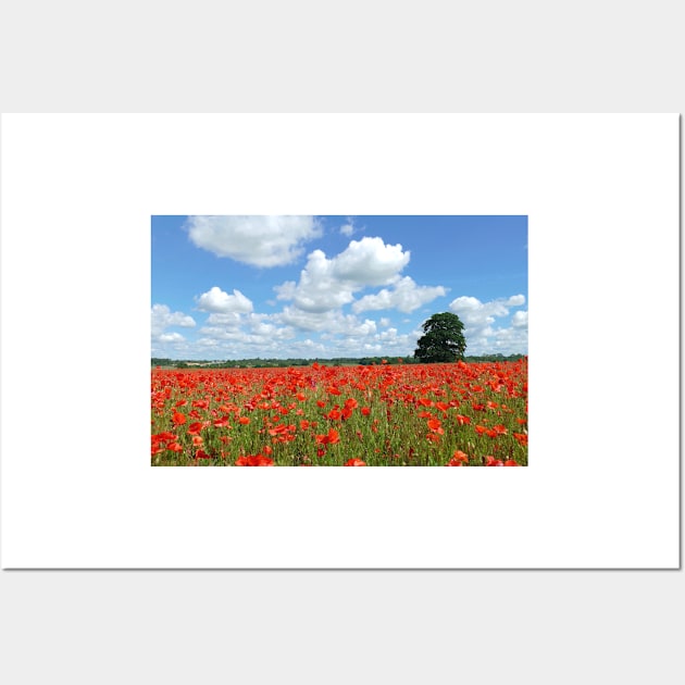 Poppy Field Wall Art by Chris Petty